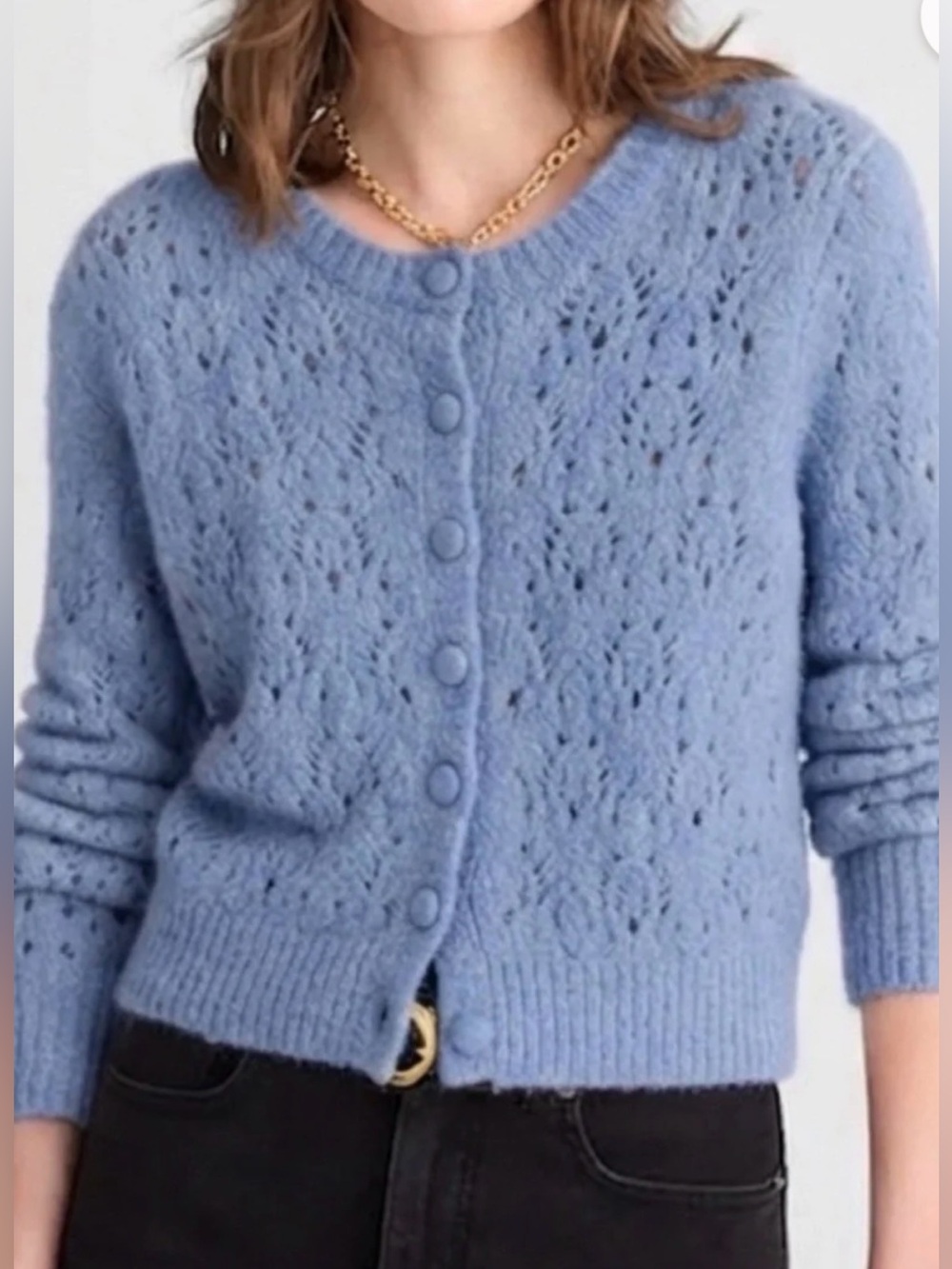 NWT Madewell Pointelle-Stitch Open Knit Button Front Cardigan Sweater